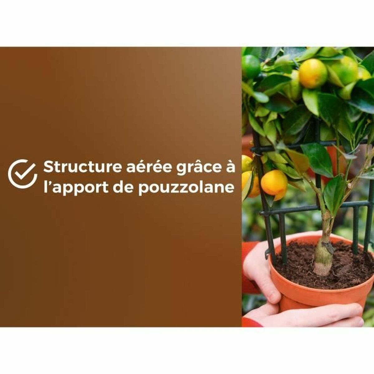 Potting compost OR BRUN 6 L Citrus-3