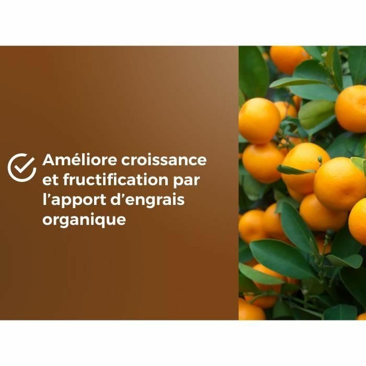 Potting compost OR BRUN 6 L Citrus-2