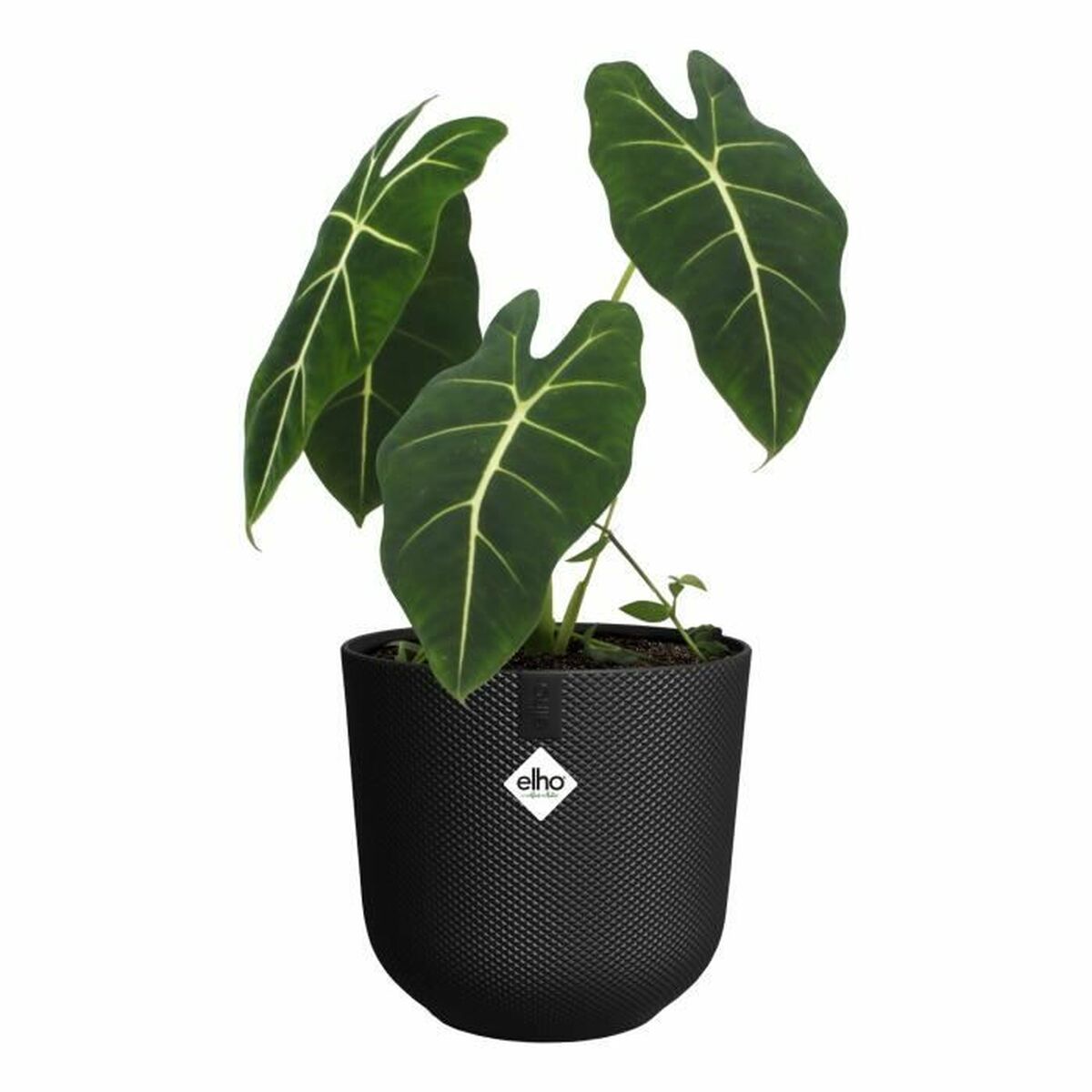 Plant pot Elho-0