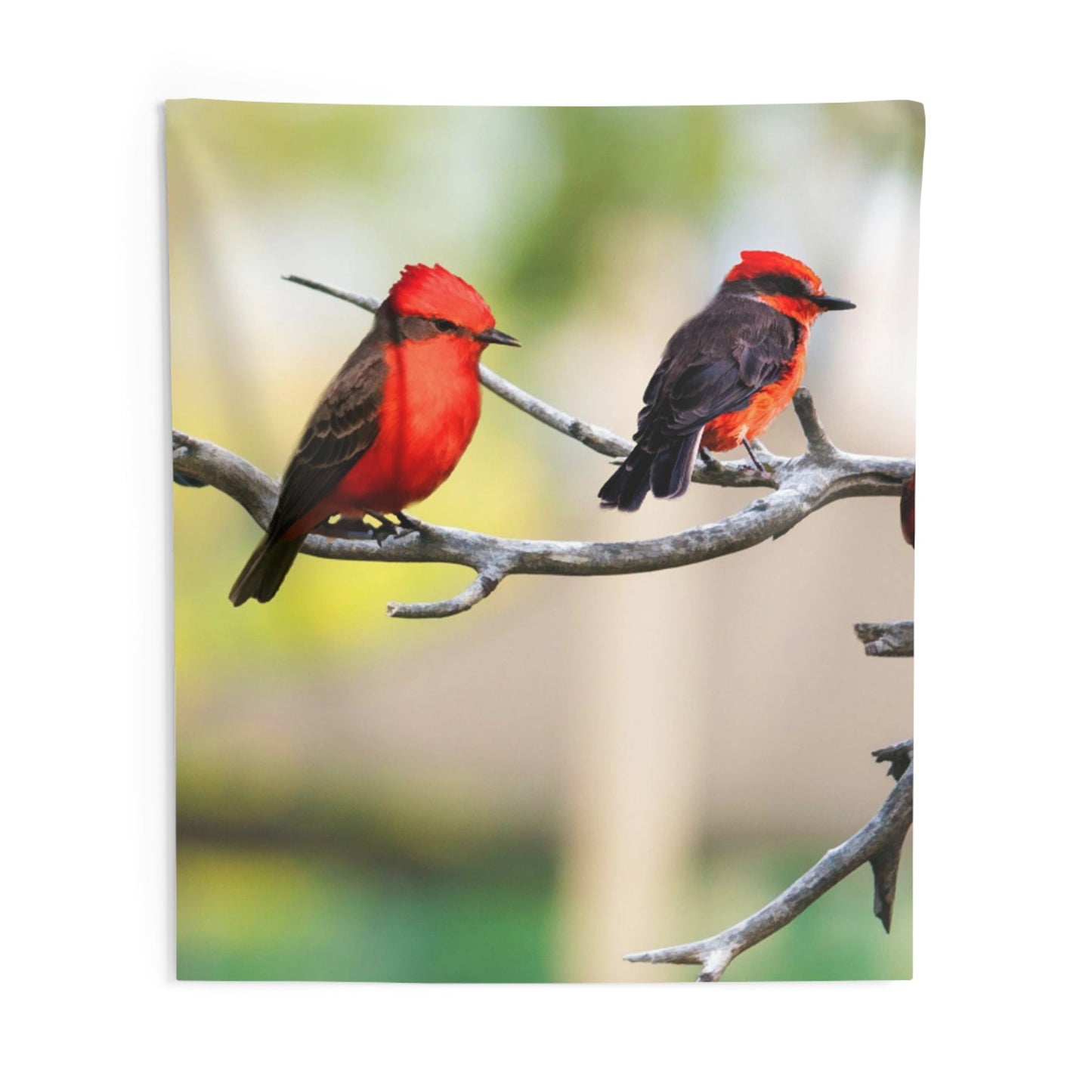Colorful Birds Tapestry-3