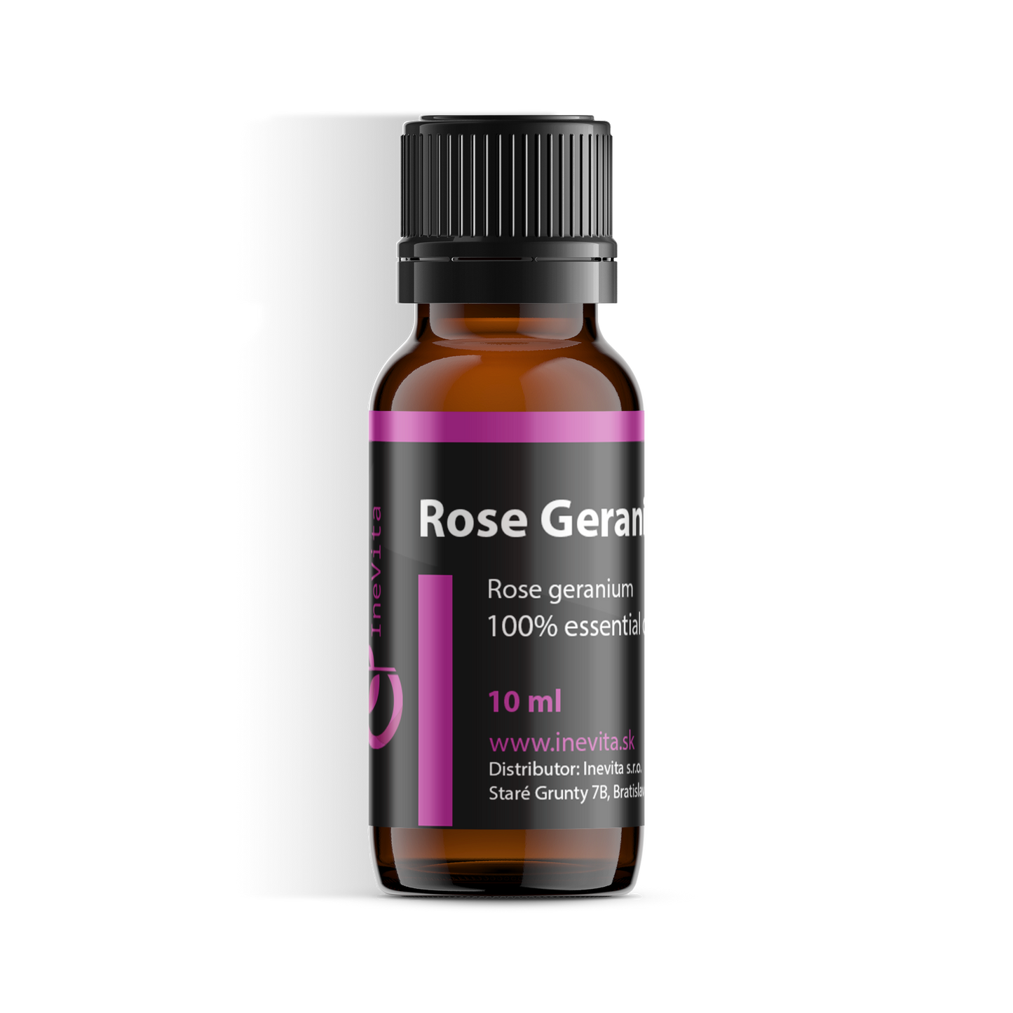 Rose Geranium-0