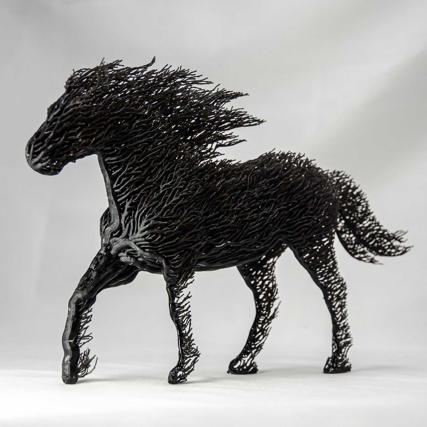 Black Grown Horse
