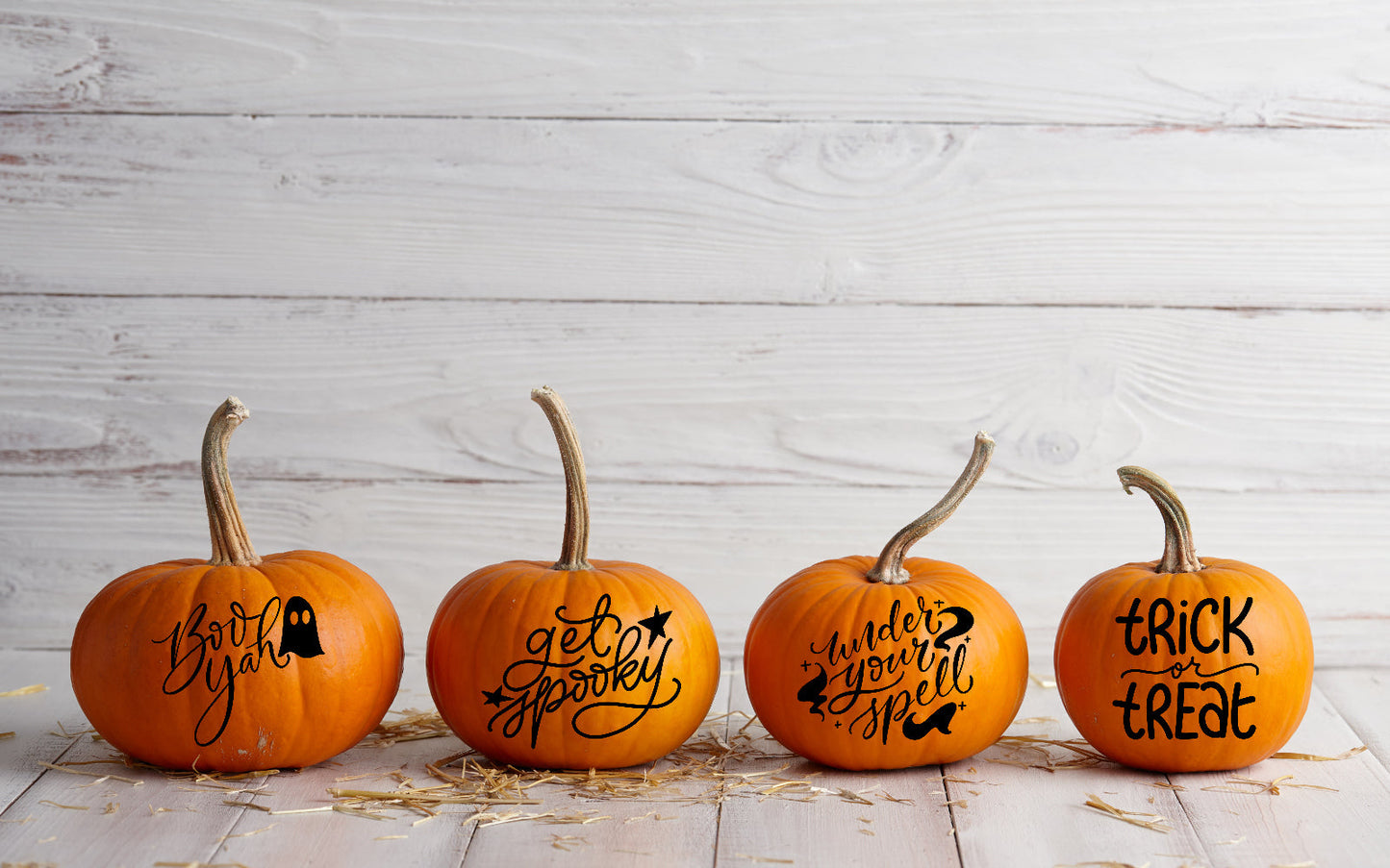 Assorted Designs Halloween Pumpkin Window Door Halloween Sticker Labels-4