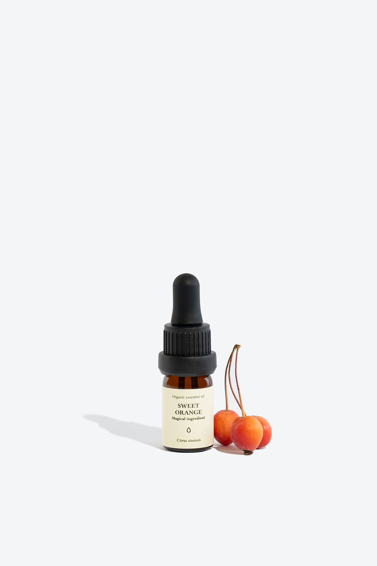 Sweet orange essential oil SMELLS LIKE SPELLS Citrus sinensis