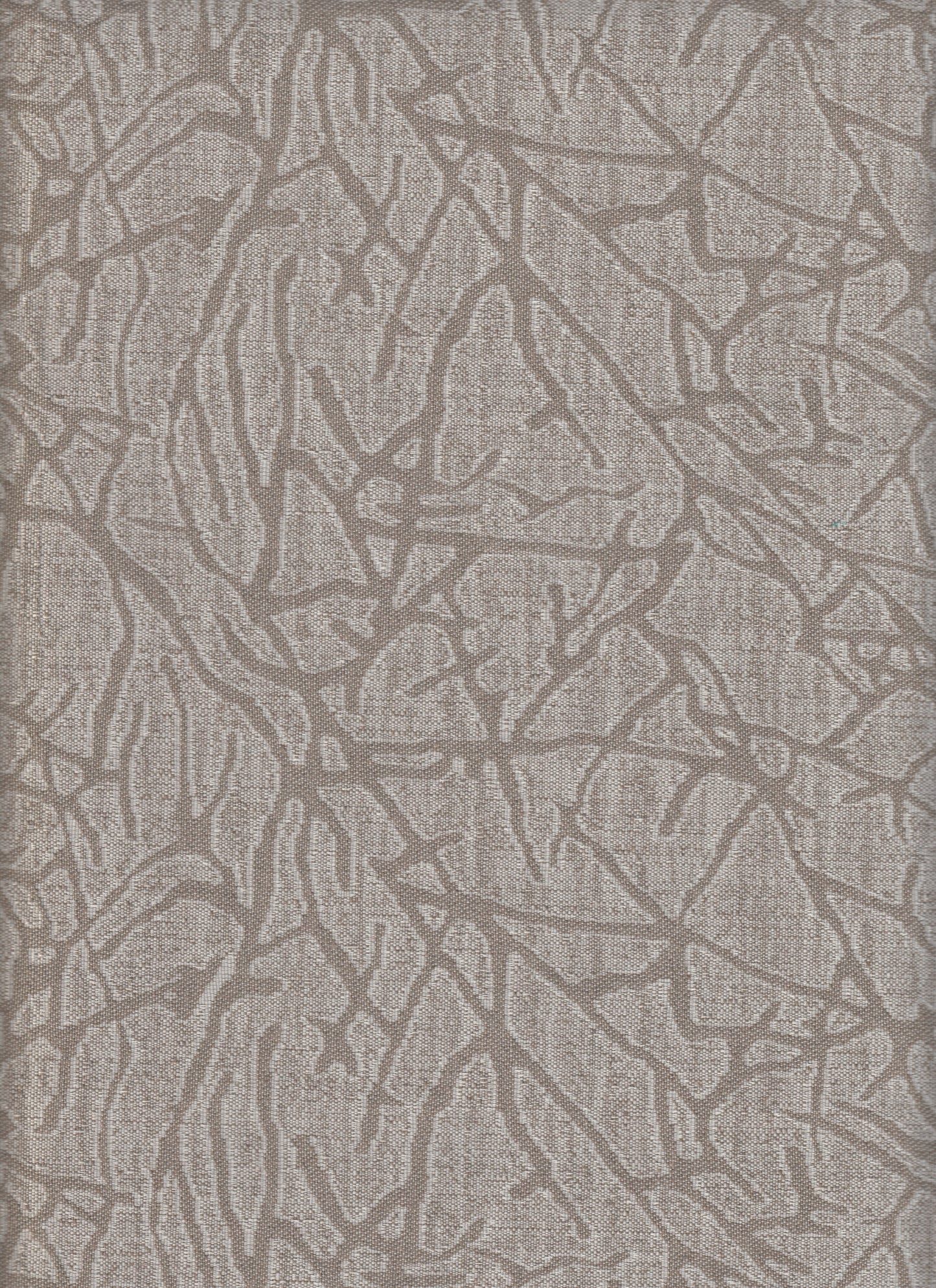 COVER | Salvadivano - RIO tortora-1