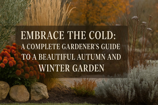 Embrace the Cold: A Complete Gardener's Guide to a Beautiful Autumn and Winter Garden