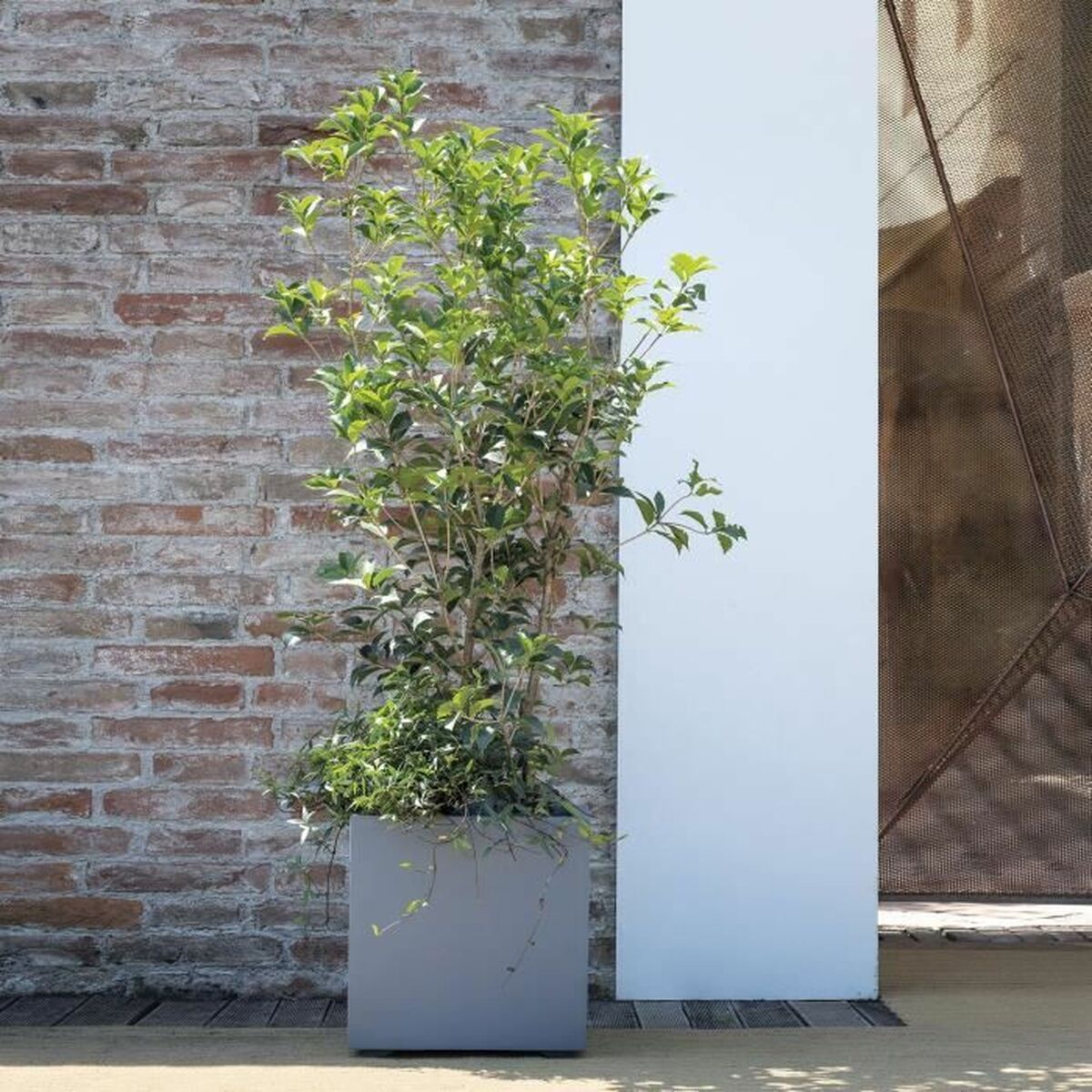 Plant pot Deroma-4