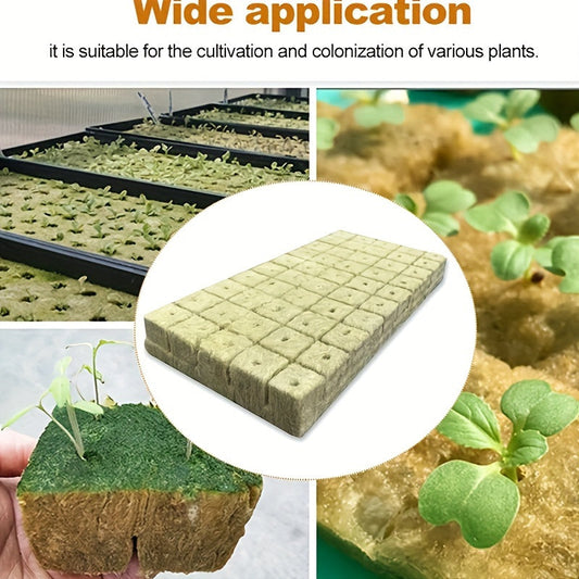 High Porosity Rockwool Grow Cubes for Seed Germination-1