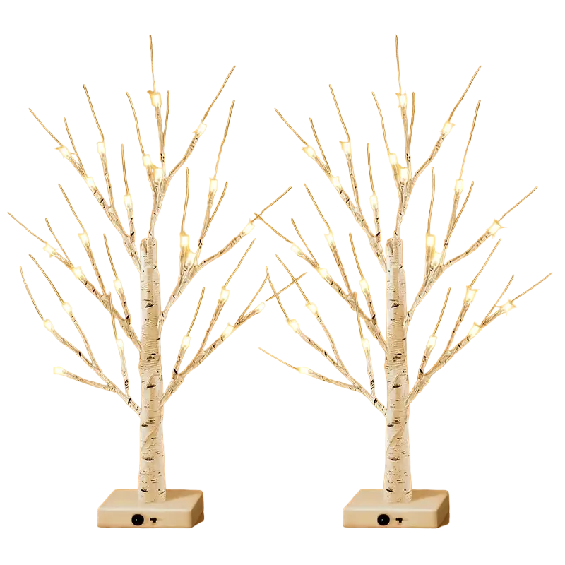 24LT 60.96cm Lighted Birch Tree - Warm White Christmas Lights-0