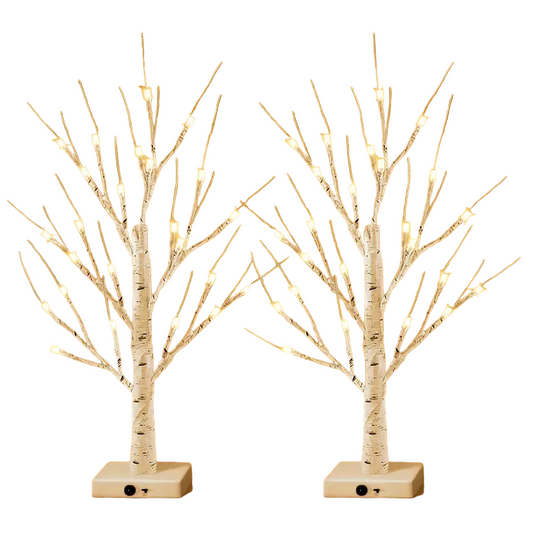 24LT 60.96cm Lighted Birch Tree - Warm White Christmas Lights-0