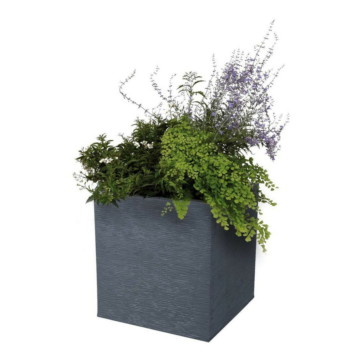 Plant pot EDA Red Anthracite Dark grey Plastic Squared 5 cm-3