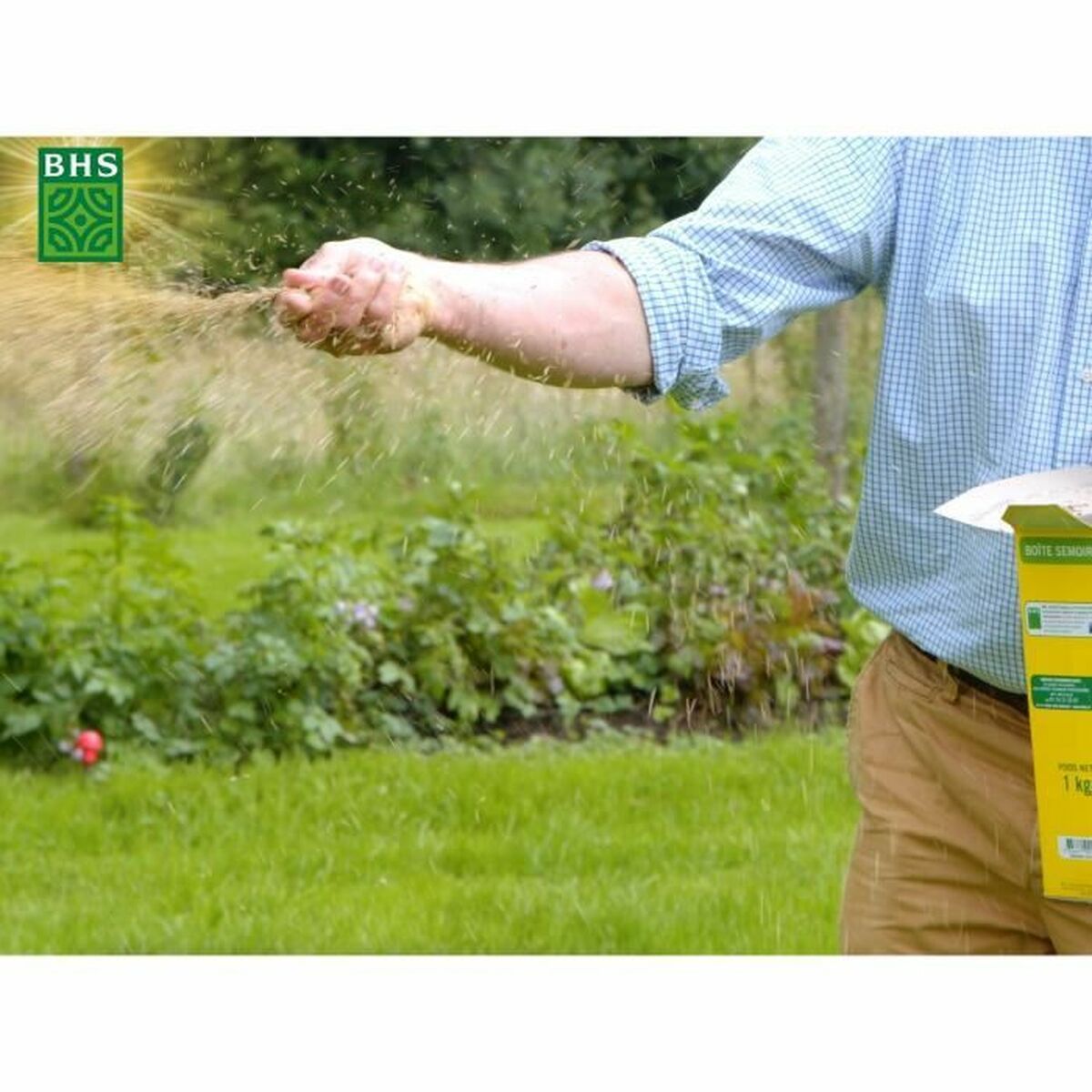 Seeds BHS 1 kg-3