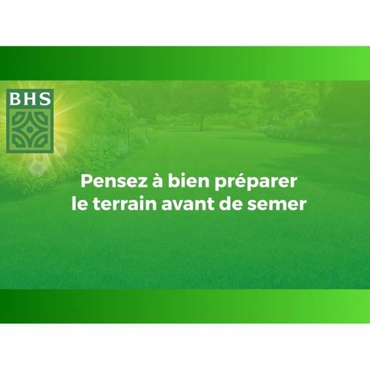 Seeds BHS 1 kg-2