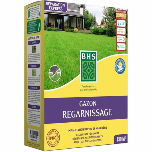 Seeds BHS 3 Kg-0