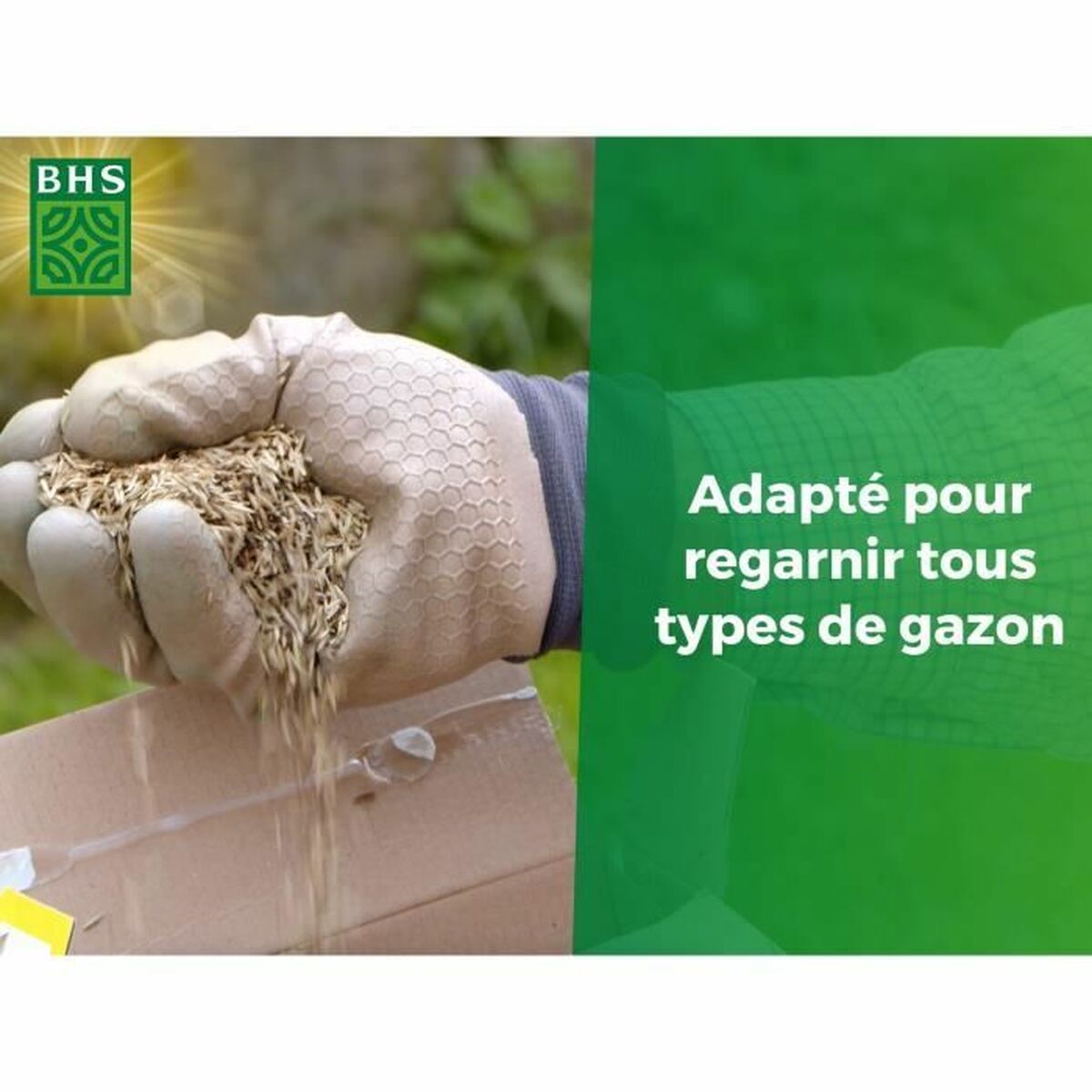 Seeds BHS 3 Kg-4
