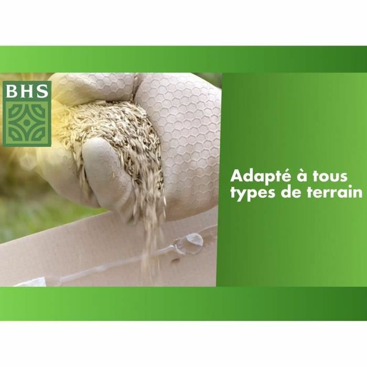 Seeds BHS 3 Kg-2