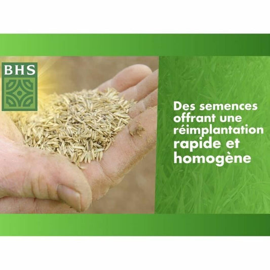 Seeds BHS 3 Kg-1