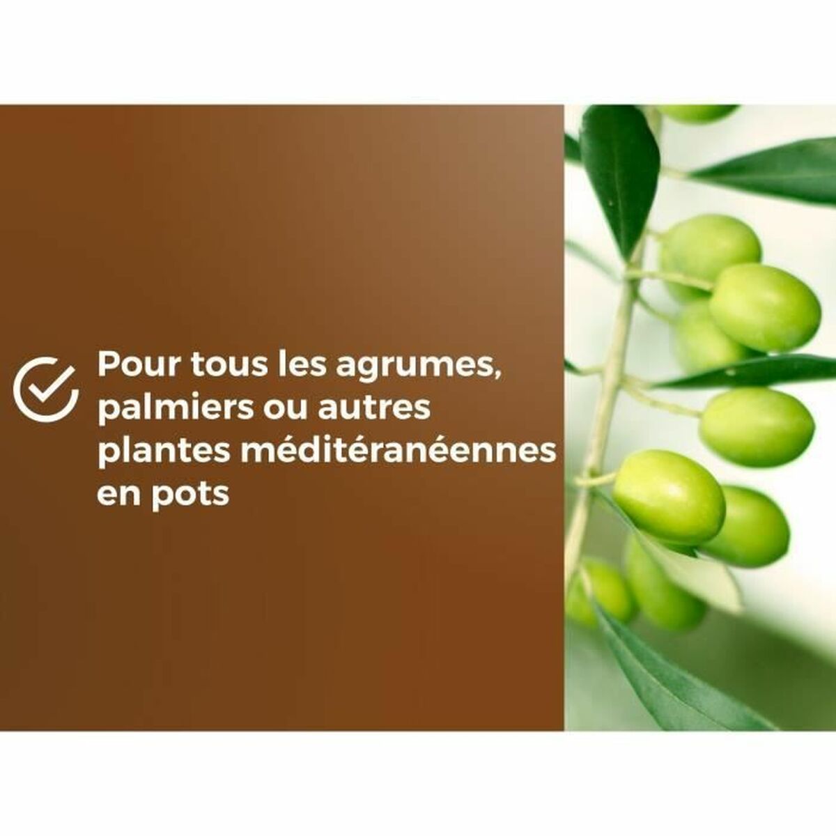 Potting compost OR BRUN 6 L Citrus-1