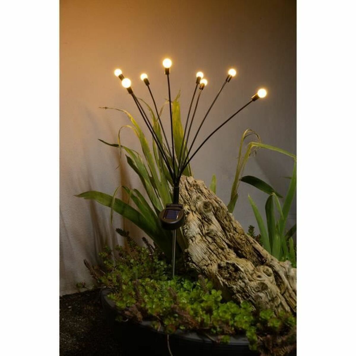 Solar garden lights Galix G4435-2