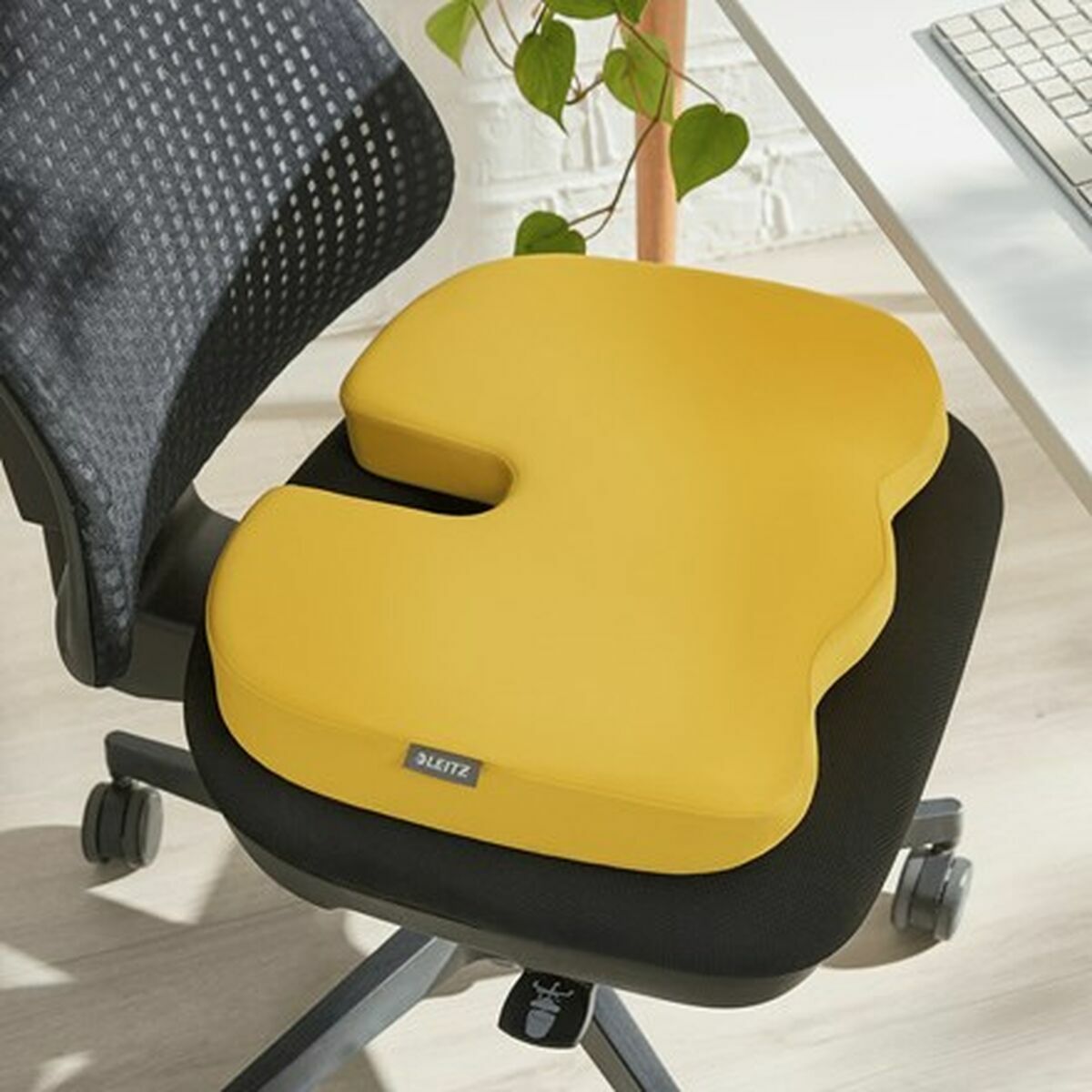 Chair cushion Leitz-1