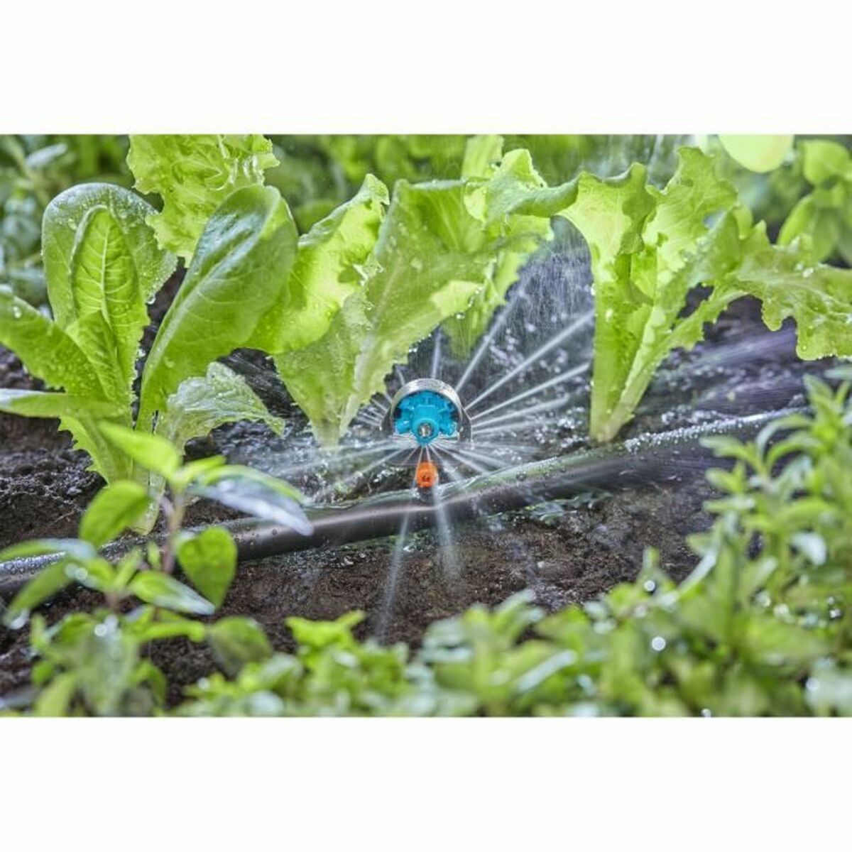 Micro sprinkler Gardena Micro-Drip 13324-20 Plastic 13 mm-2