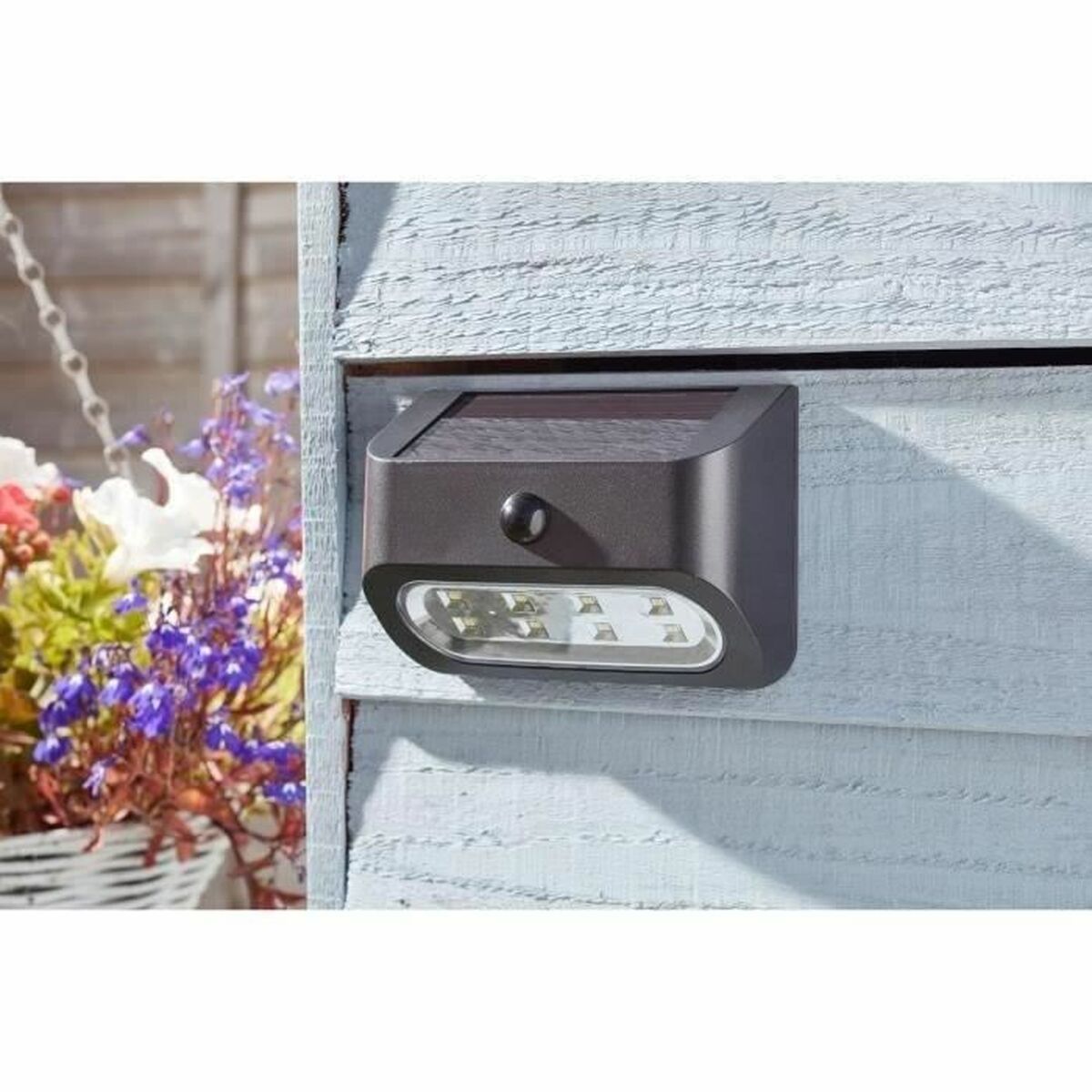 Wall Light Smart Garden Sentinel Solar light Black 50 lm (2 Units)-1