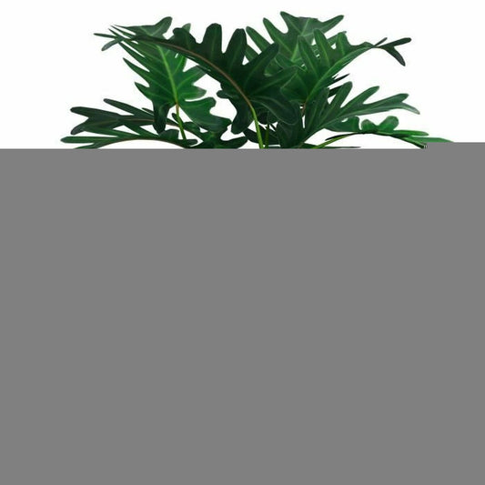 Plant pot Garden ID Black 25 x 12 cm-1