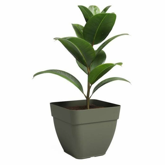 Plant pot Artevasi 36,5 x 36,5 x 33,5 cm Green-1