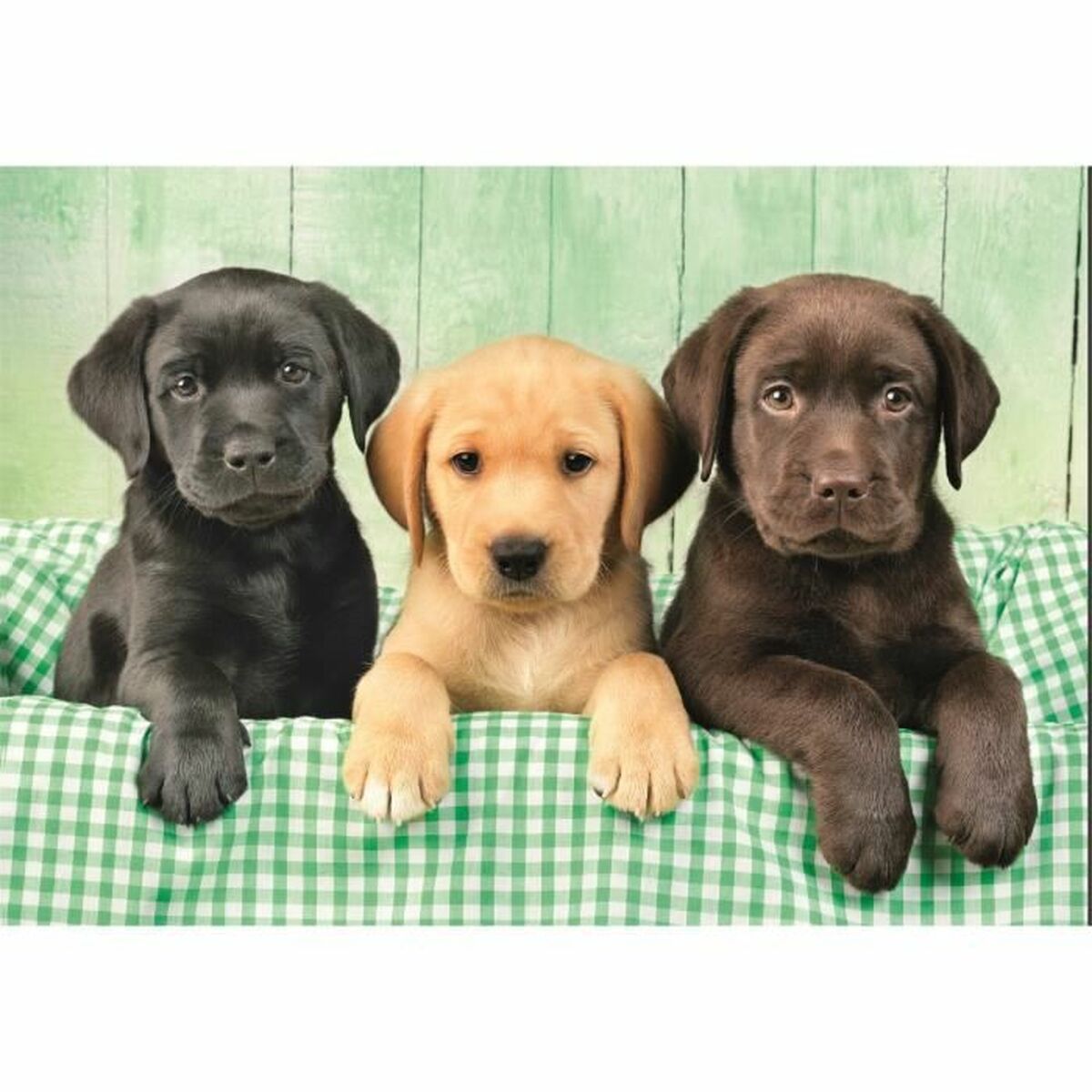 Puzzle Clementoni 1000 Pieces-5