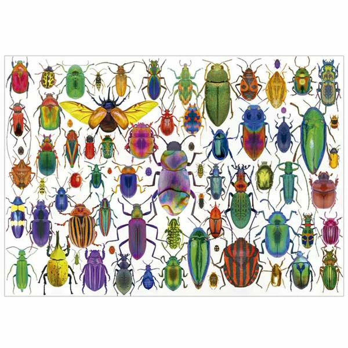 Puzzle Educa Beetles-1