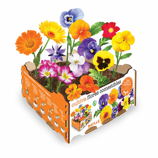 Cultivation Set Batlle Flowers Edible 19 x 19 x 10 cm-0
