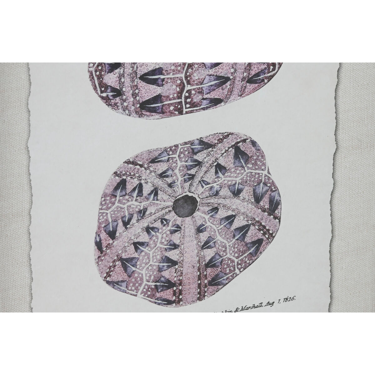 Painting Home ESPRIT Crystal Fir 35 x 2 x 45 cm-2