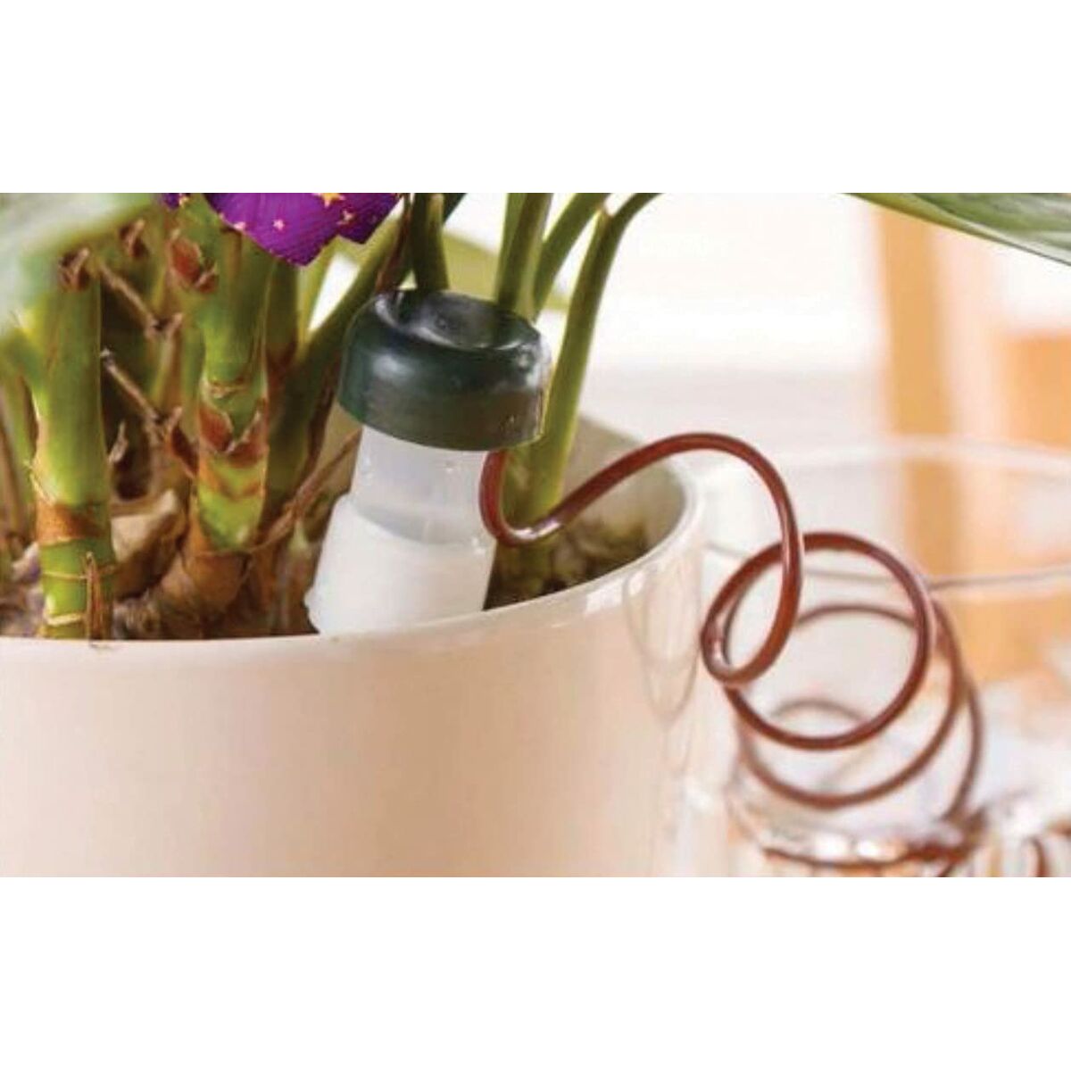 Automatic Drip Watering System for Plant Pots Aqua Control-2