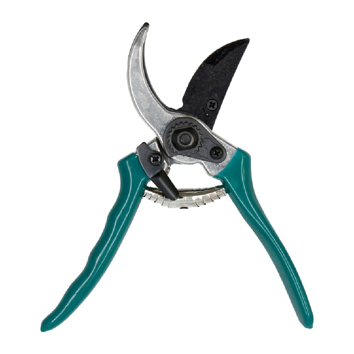 Garden Scissors Ferrestock Green-3