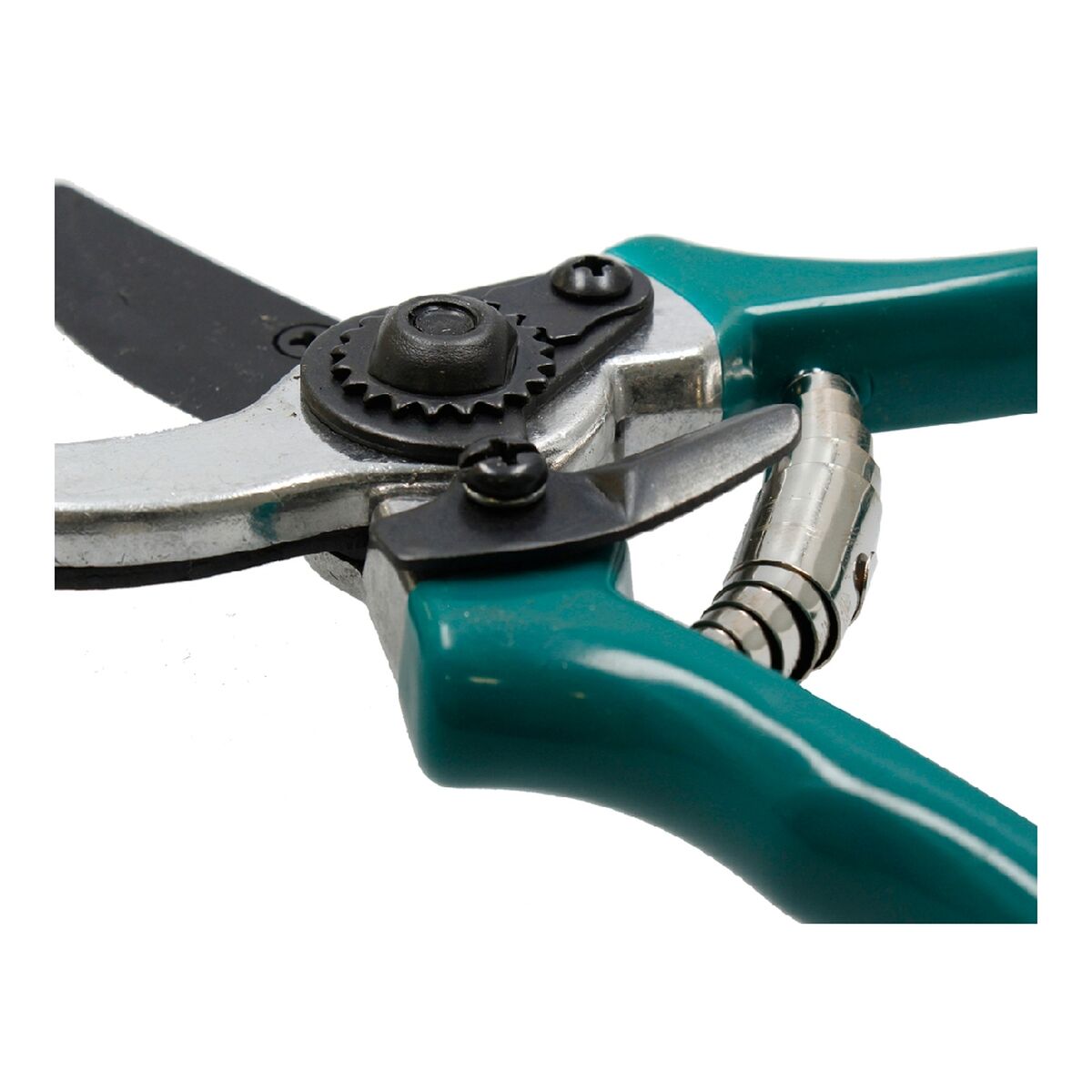 Garden Scissors Ferrestock Green-2