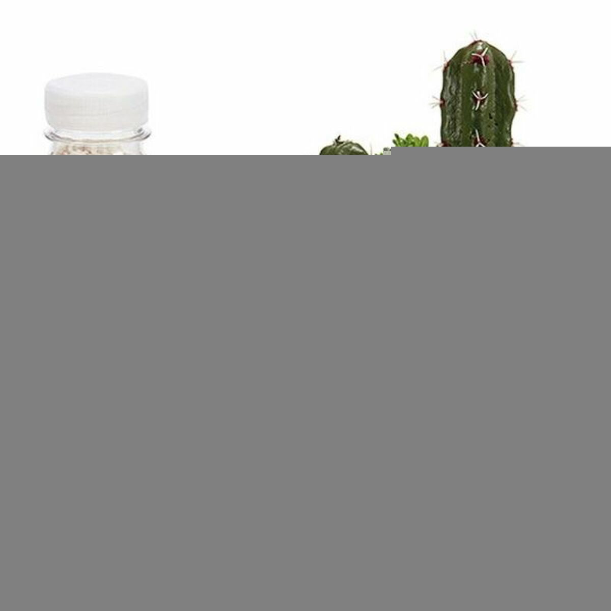 Decorative Stones-7