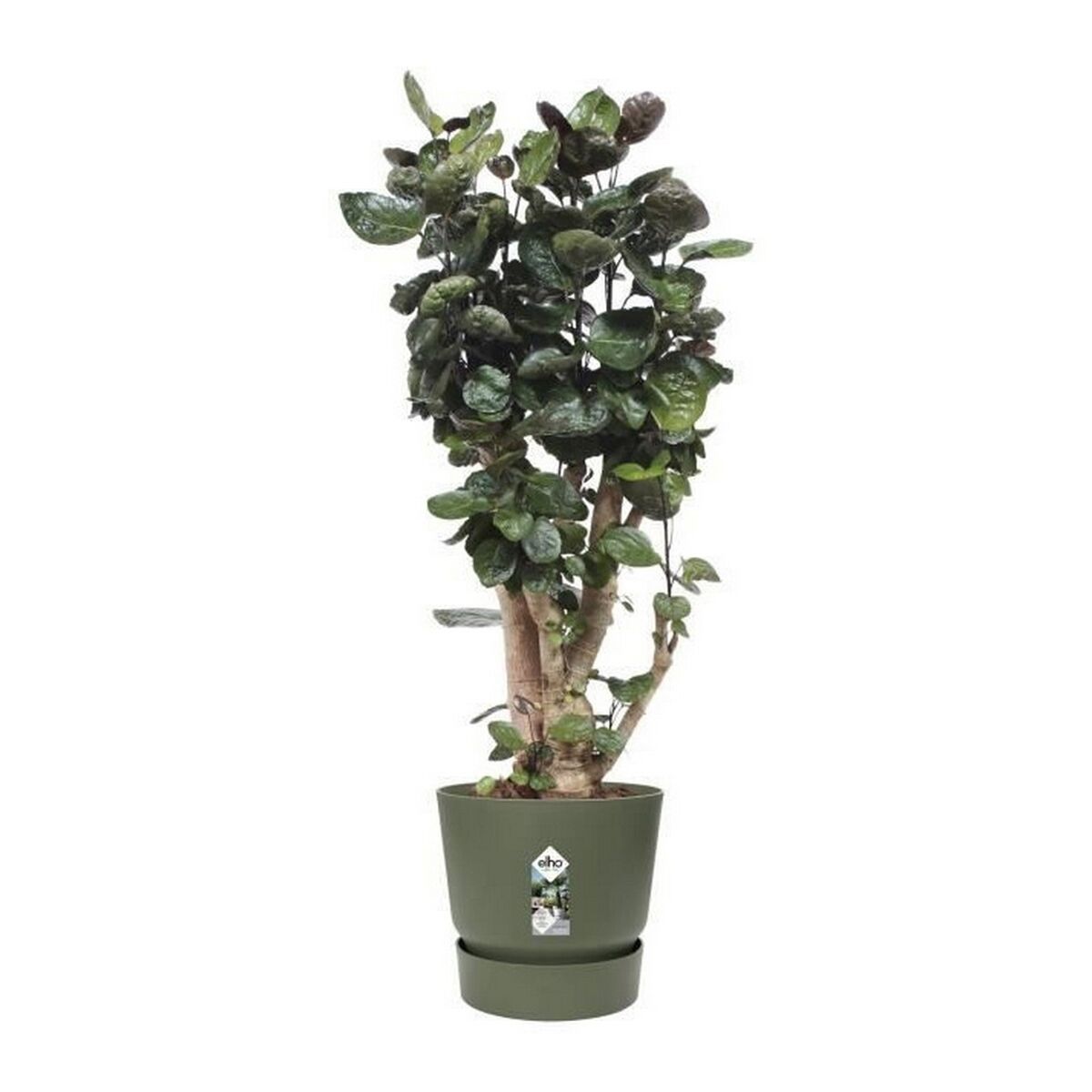 Plant pot Elho Greenville Ø 39 x 36,8 cm Green-2