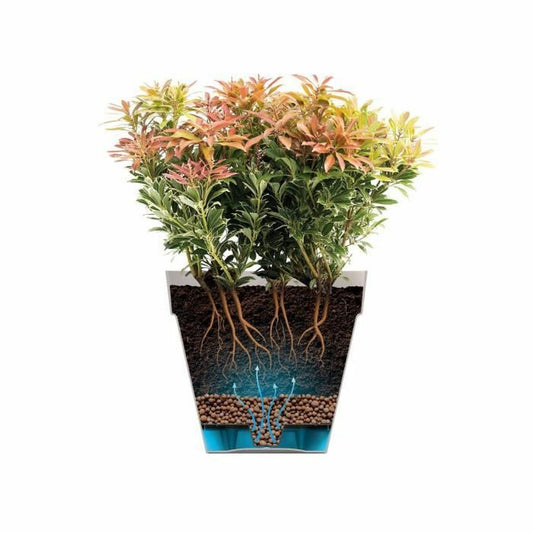 Plant pot Elho-1