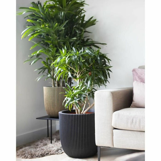 Planter Capi Europe Black Plastic Ø 43 cm-1