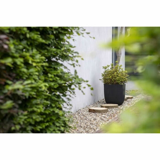 Planter Capi Europe Black Plastic Ø 43 cm-1