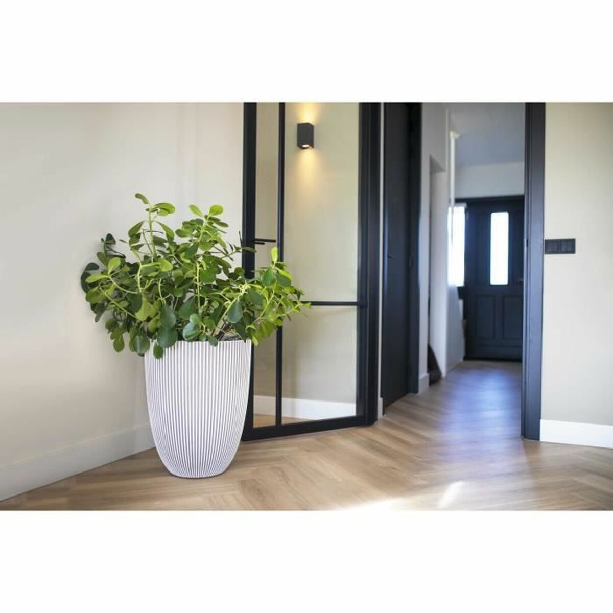 Planter Capi Europe Beige Plastic Circular 34 x 34 x 46 cm-3