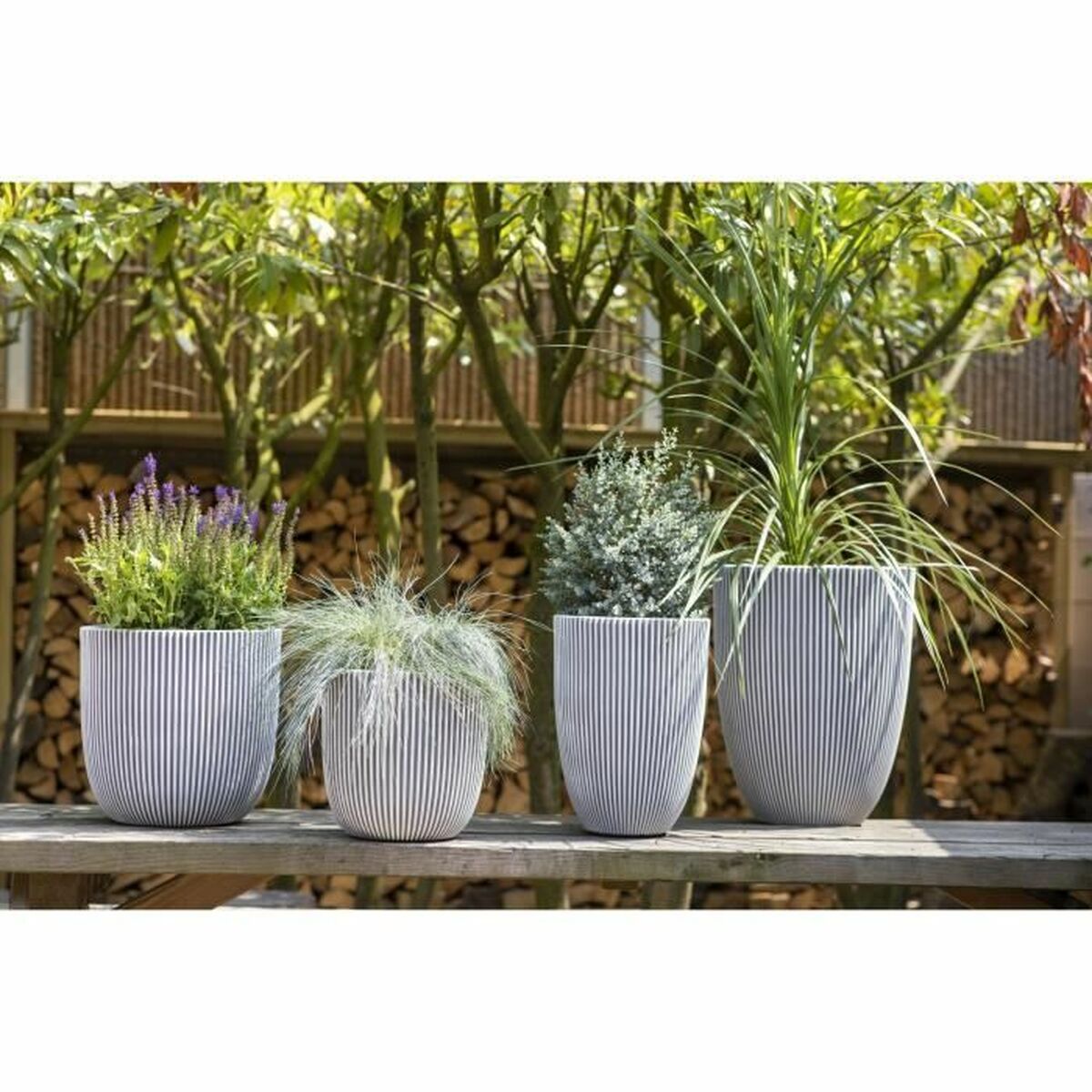 Planter Capi Europe Beige Plastic Circular 34 x 34 x 46 cm-1