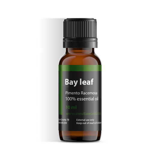 Bay leaf-0