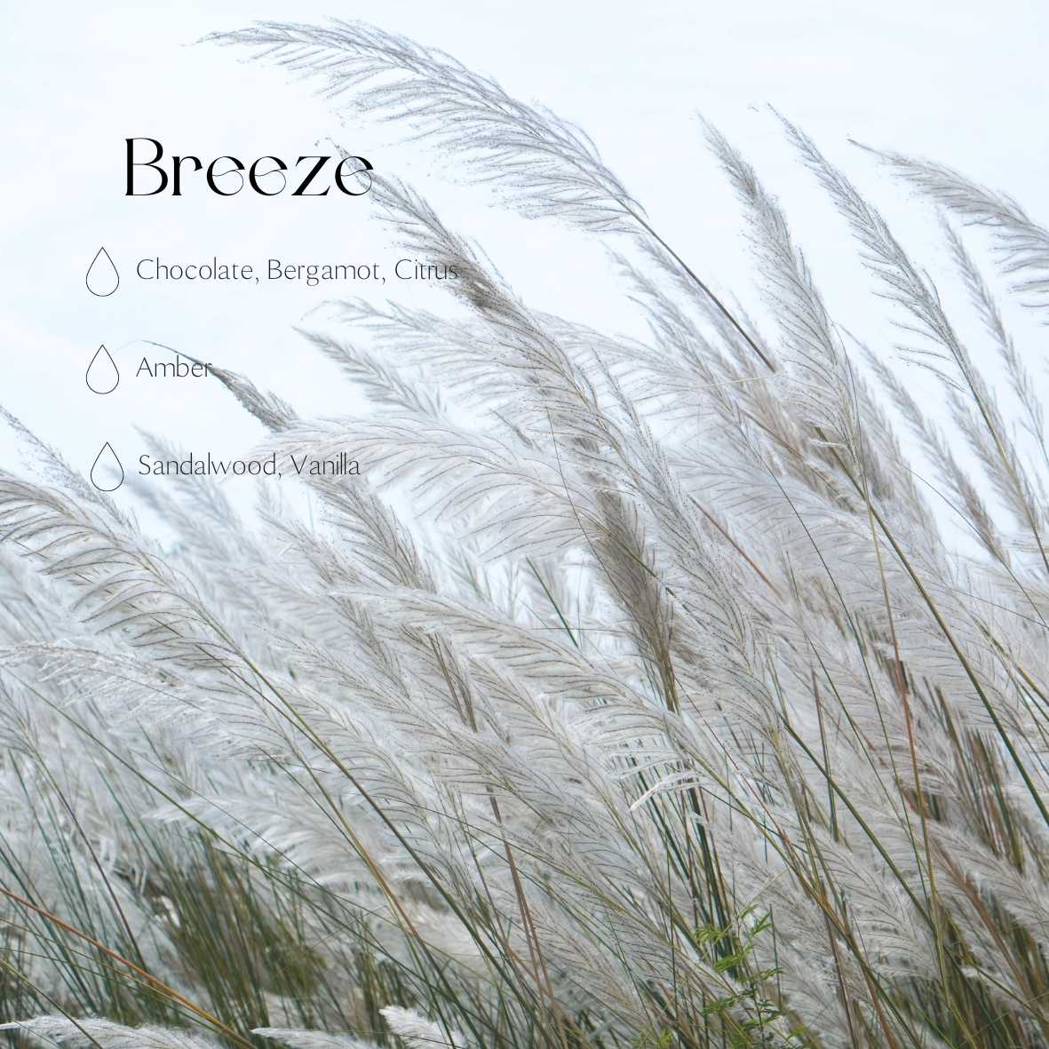 Breeze refill 250ml/8.45oz-6