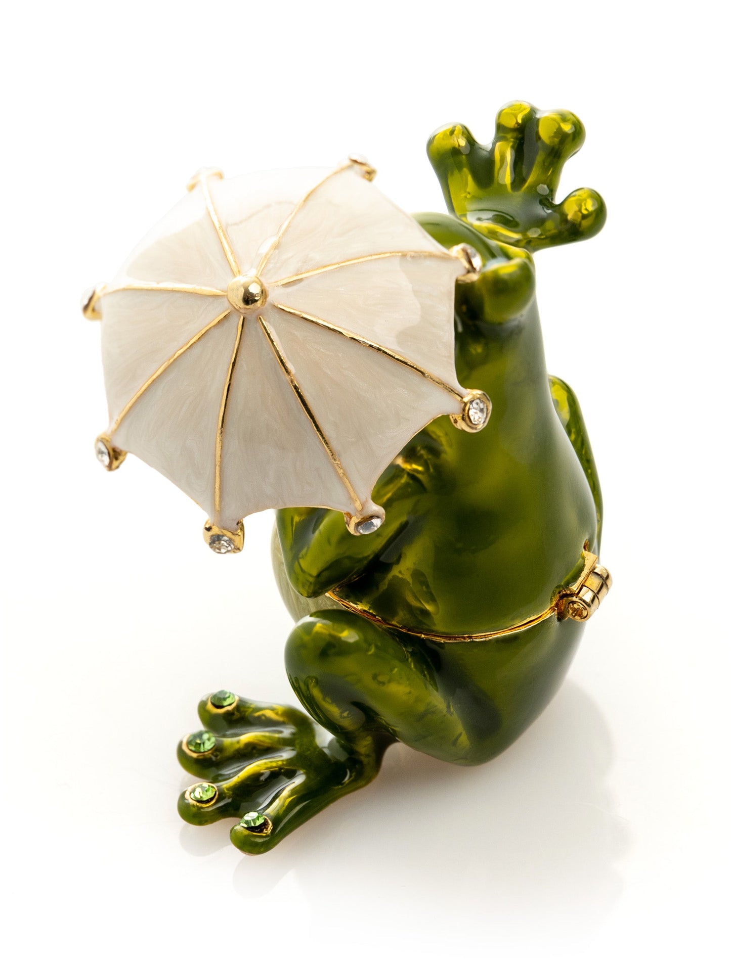 Frog holding an Umbrella-4