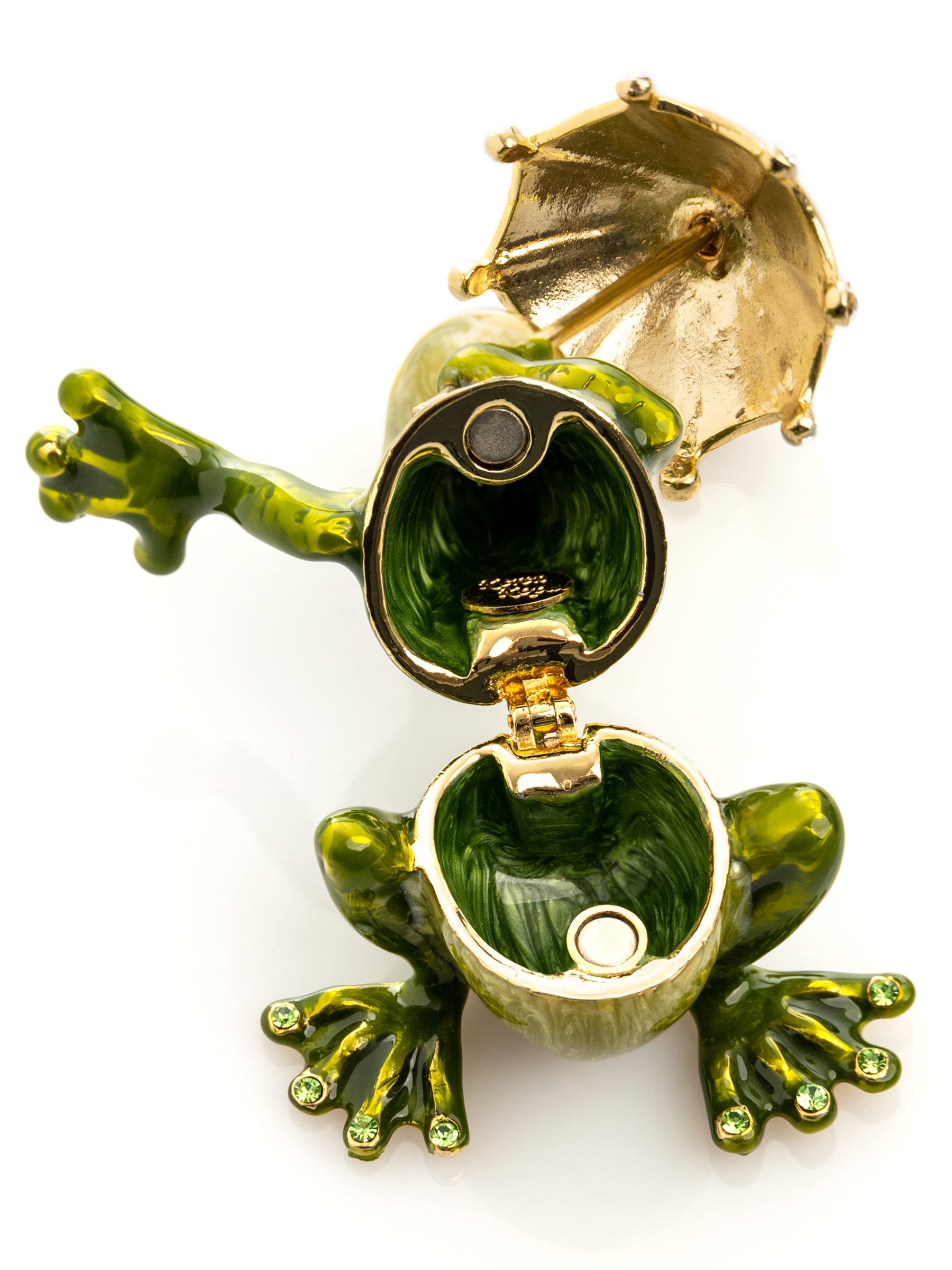 Frog holding an Umbrella-2