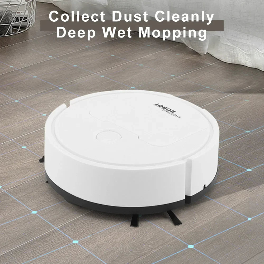 Automatic Intelligent Sweeping and Mopping Robot-1
