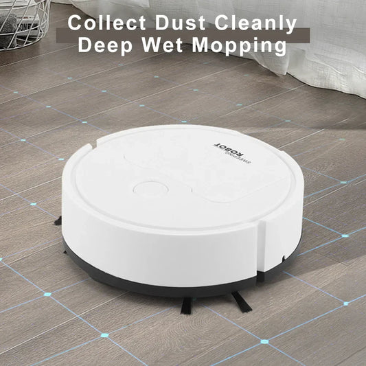Automatic Intelligent Sweeping and Mopping Robot-1