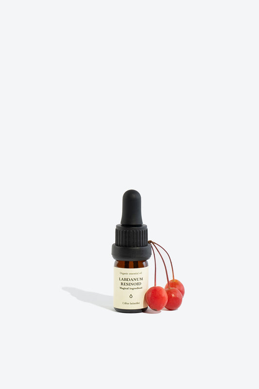 Labdanum resinoid essential oil SMELLS LIKE SPELLS Cistus ladanifer