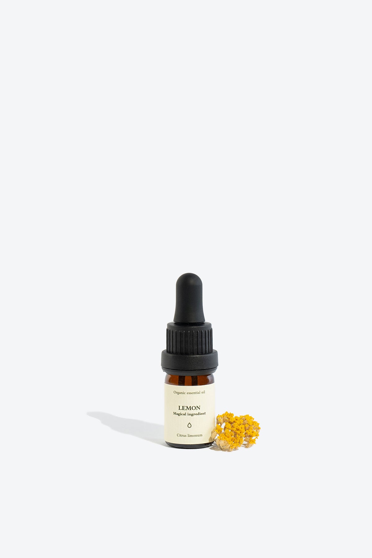 Lemon essential oil SMELLS LIKE SPELLS Citrus limonum
